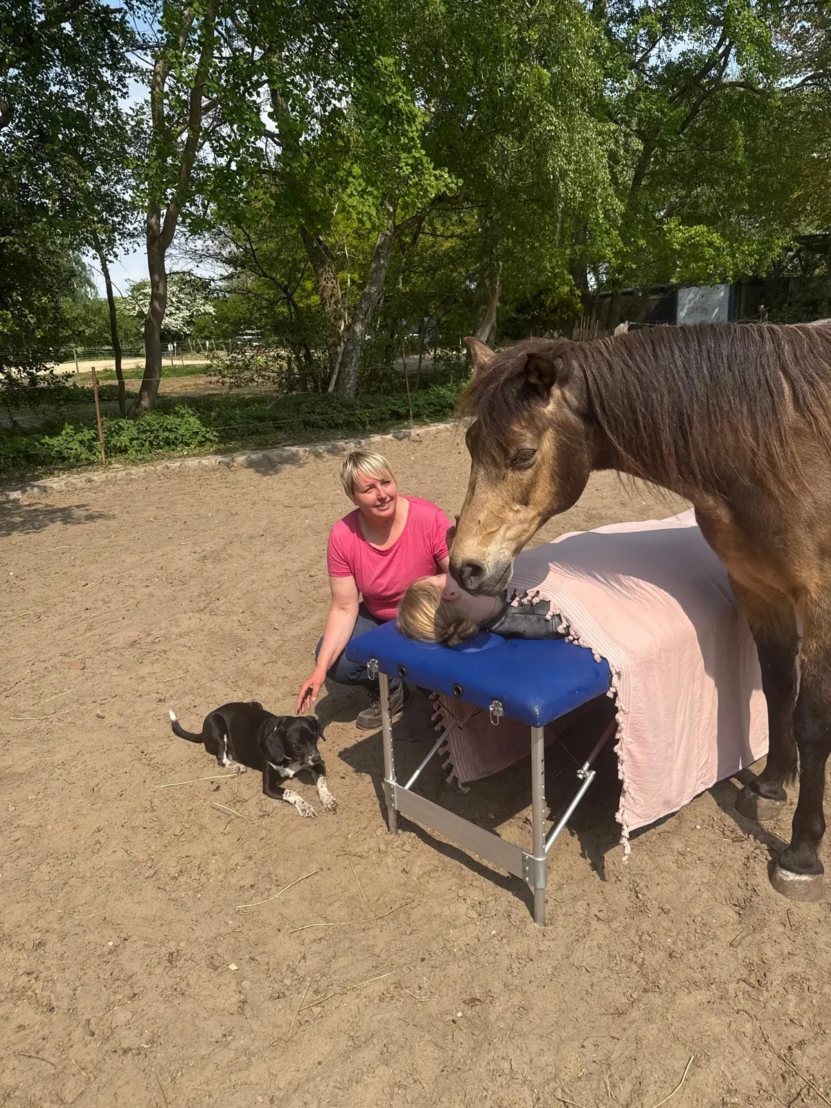 Kinder reiten