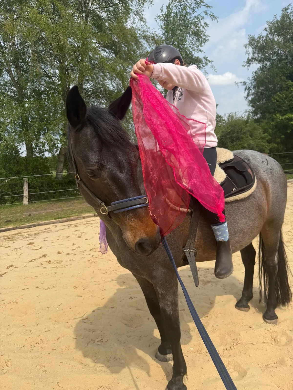 Reittherapie